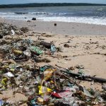 microplastiques-ocean-consommateur