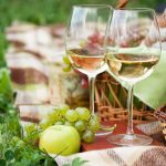 vin bio biodynamie ecolo certifications
