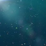 microplastics impacts ocean human health