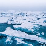 arctique acidification des océans
