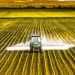 pesticides interdiction alternatives