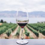 réchauffement climatique impact vin et vignes