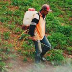 agriculteur pulvérisant des pesticides sur un champ
