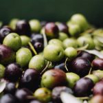 olive rechauffement climatique secheresse huile