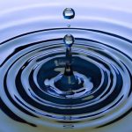 L'eau, un besoin vital pour l'economie