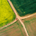 Pour cet épisode de Triple A, Caroline Orset, enseignante-chercheuse en économie à AgroParisTech (Université Paris-Saclay), et spécialiste du rôle des lobbies, nous décrit le fonctionnement des réseaux d'influence dans le monde agricole. Syndicats agricoles, entreprises privées de l'agroalimentaire, ONG environnementales et de défense des consommateurs, une lutte s'organise pour transformer les modes de consommation et influencer les décideurs publics, français comme européens.