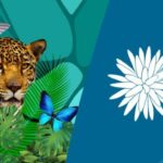 COP16 biodiversité colombie