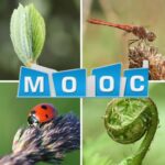 Mooc Biodiversité