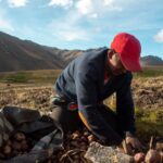 Un paysan arrache des pommes de terre dans un champ