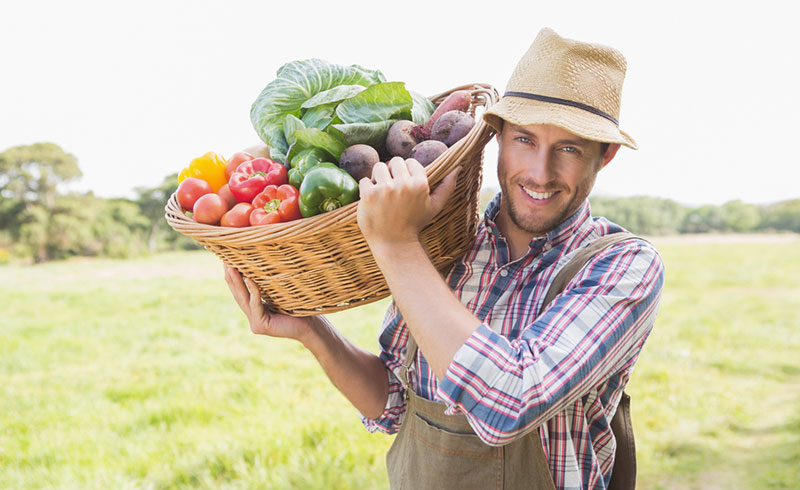 small farms agro-ecology productivity hunger in the world