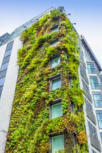 green building ecology