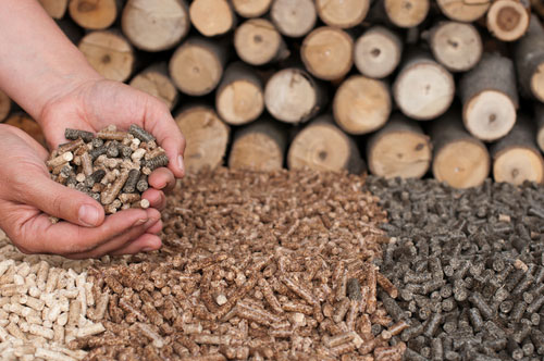 biomass renewable energy definition