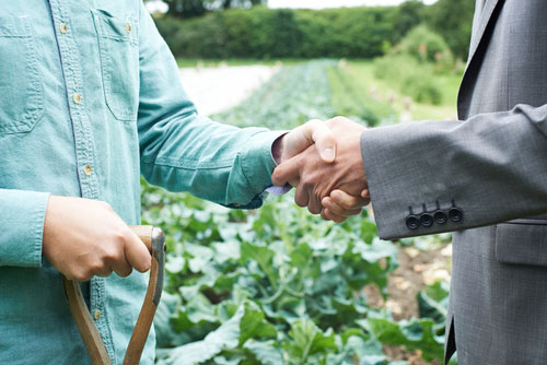 farmer cooperation food system