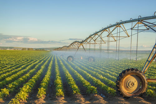 food system benefits circular