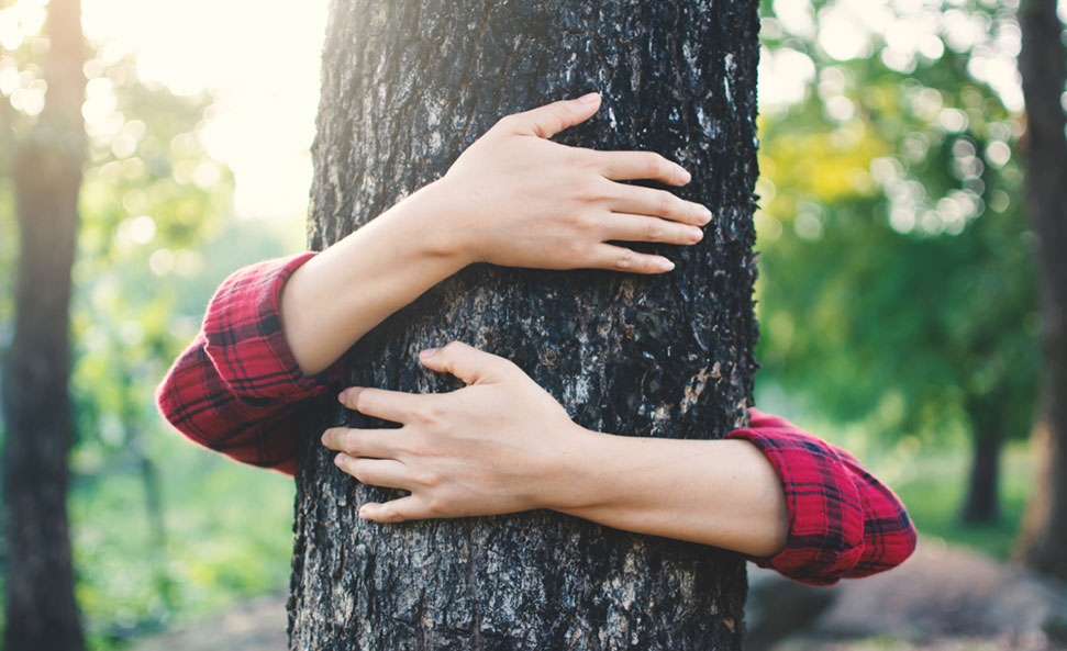 What Is The Role Of The Local Government In Protecting The Environment