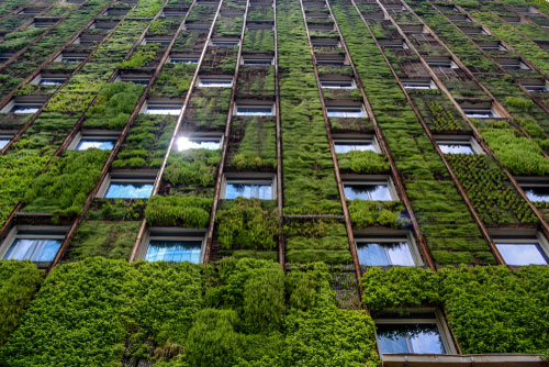 Green companies: how to reduce the impact of corporate paper