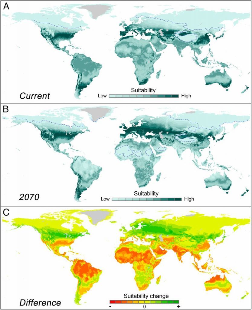 ecosystem human degradation