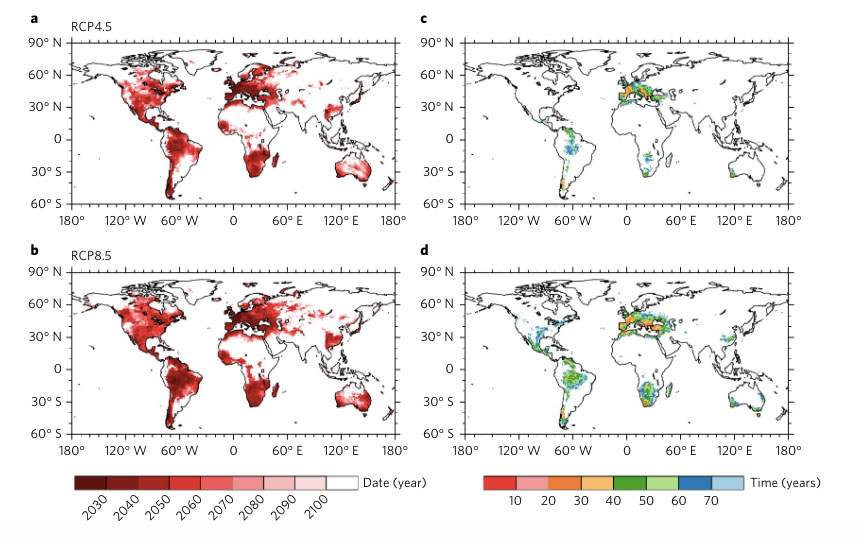 desertification increases global warming