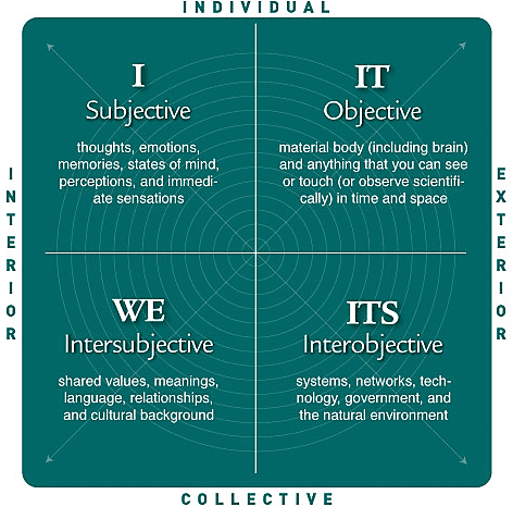 worldview integral theory sustainability