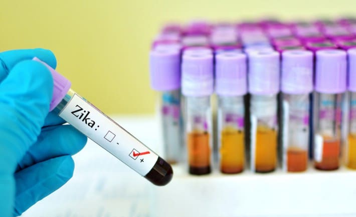 Virus-Zika-CHangement-Climatique