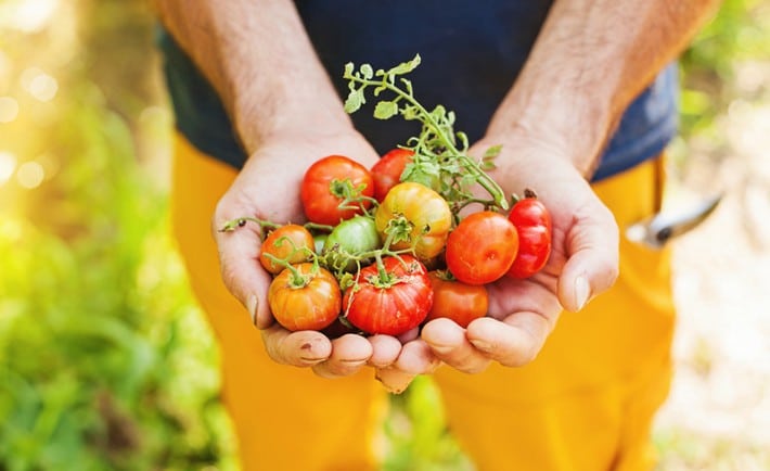 agro-ecologie-permaculture