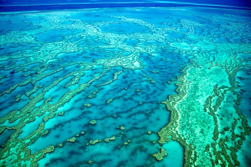 barrière de corail aires marines protégées