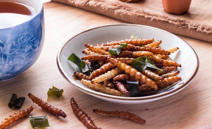 manger-insectes-comestibles-ecologie-test