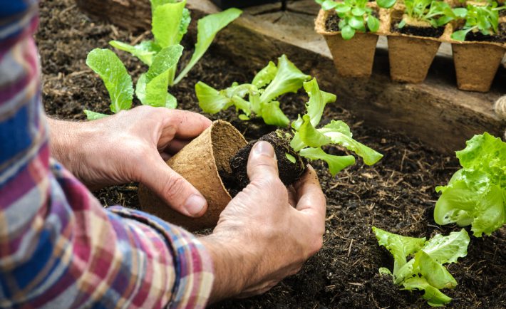 jardin ecologie impact environnemental