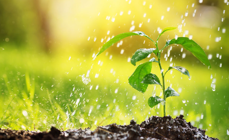 Le Changement Climatique Reduit La Capacite Des Sols A Absorber L Eau