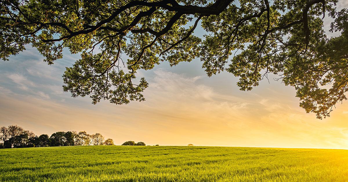 relance verte economie climat