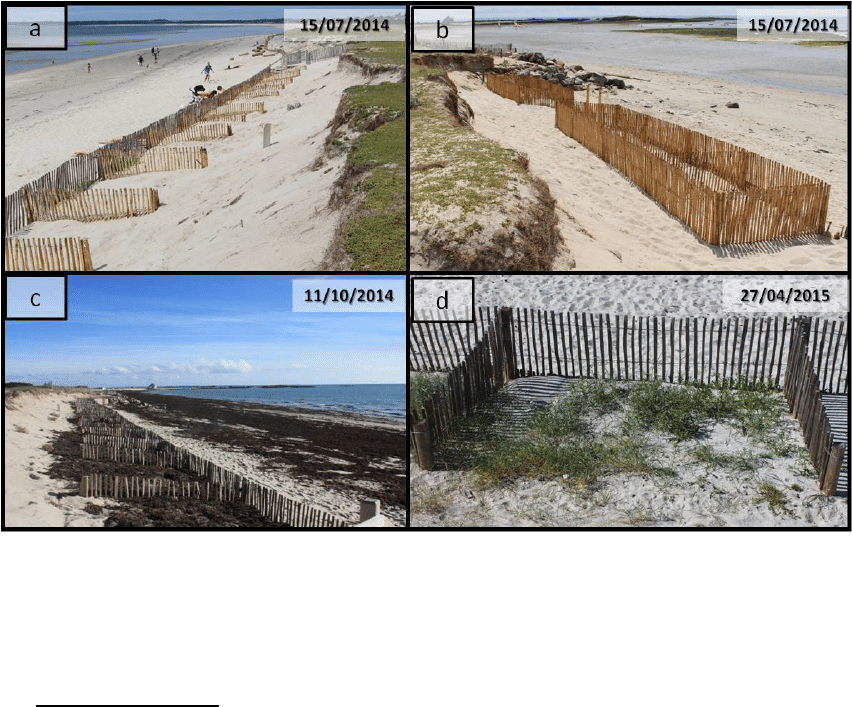 Agobox contre l'érosion littorale