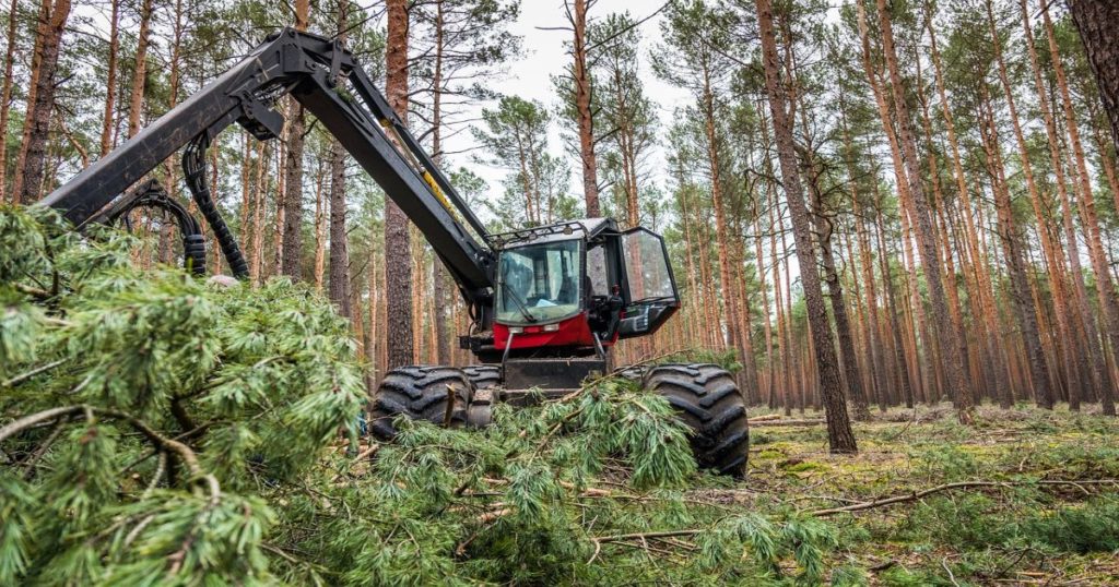 Des bâtiments en bois pour le futur des villes