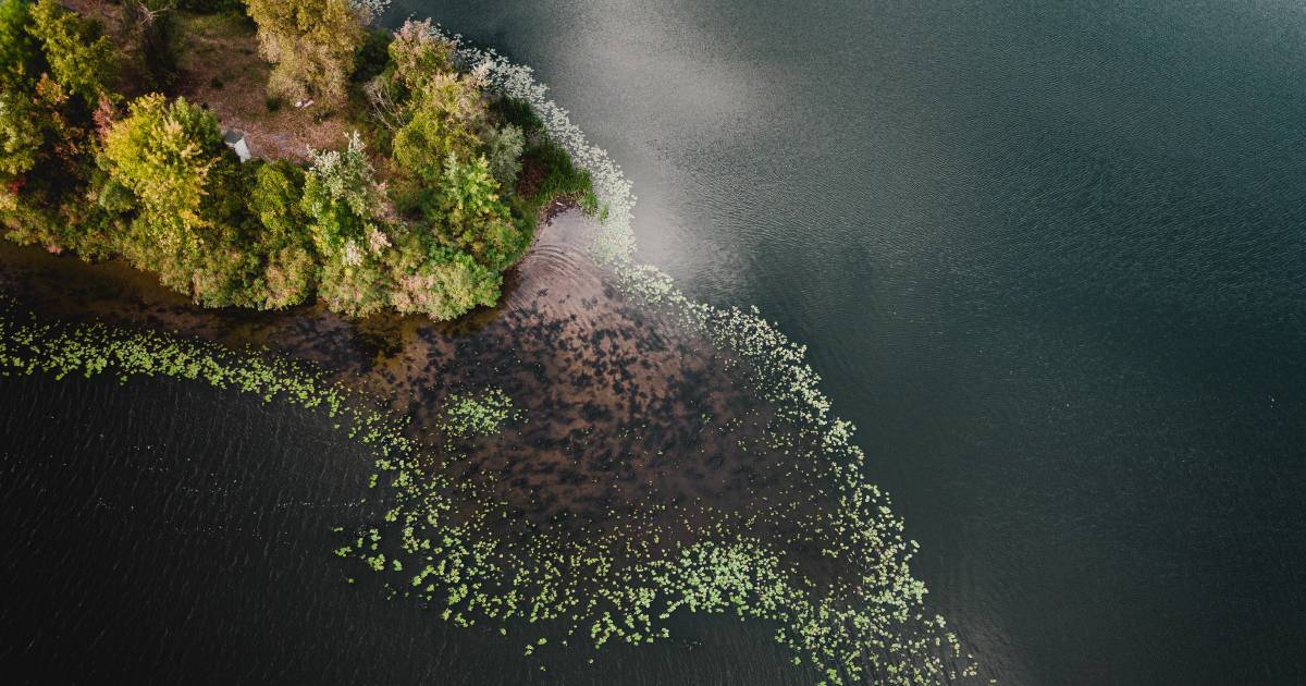 cop15 resume accord biodiversite