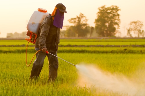 pesticides alimentation danger