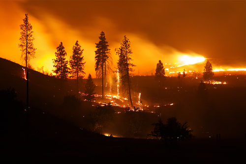 feux de forêt incendies réchauffement climatique